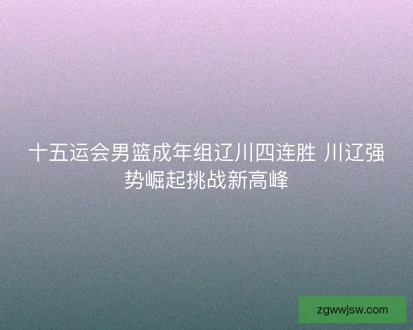 十五运会男篮成年组辽川四连胜 川辽强势崛起挑战新高峰